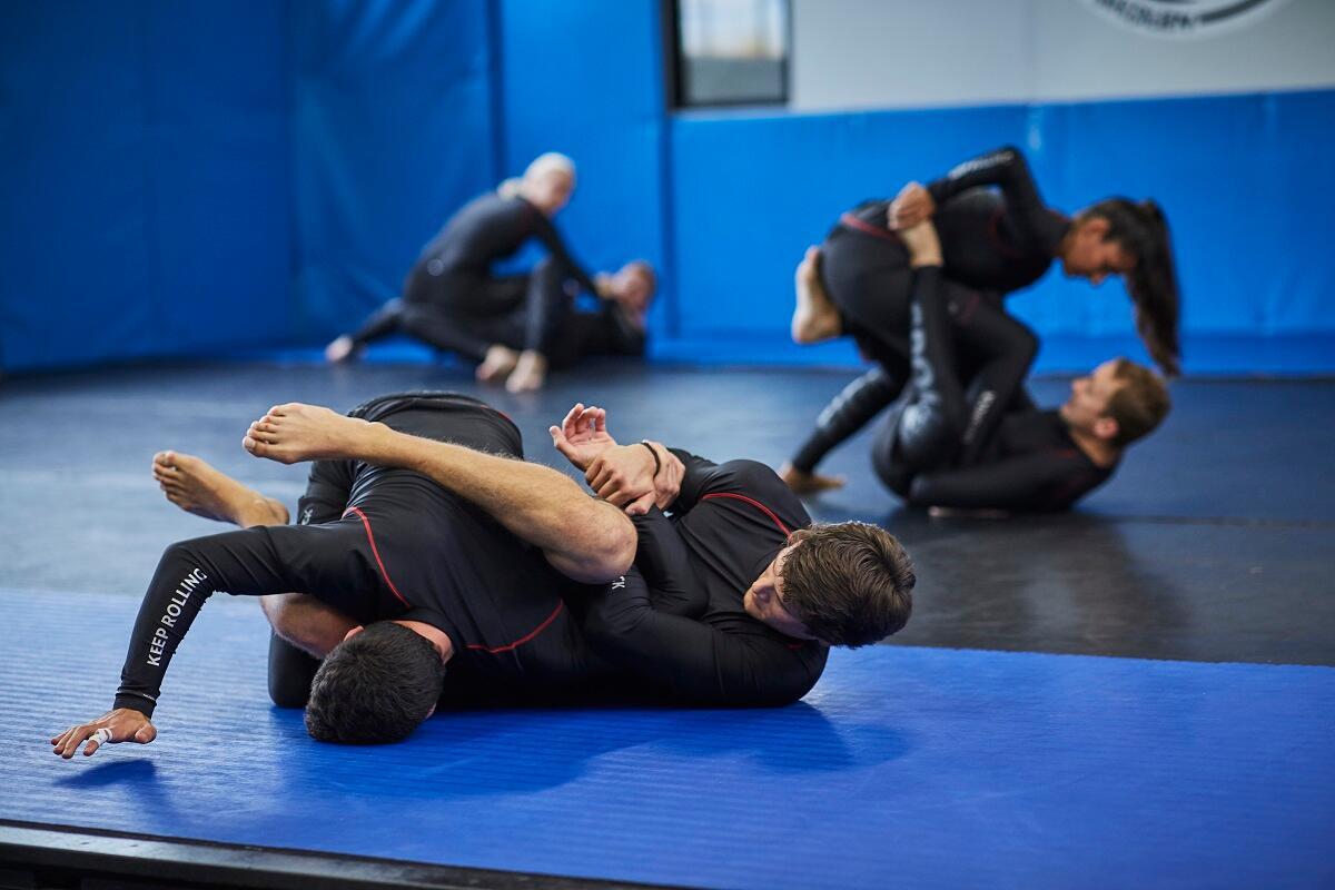 How does Luta Livre differ from BJJ? 