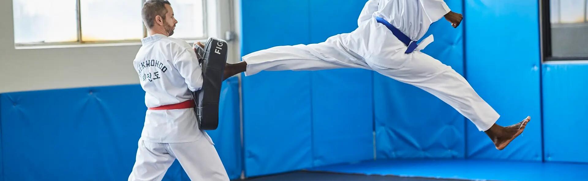 What is taekwondo? An introduction