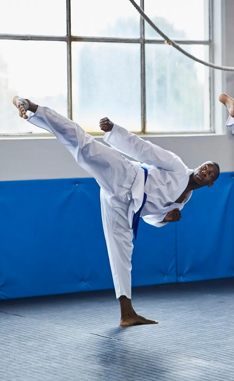 Qu'est-ce que le taekwondo ? Une introduction
