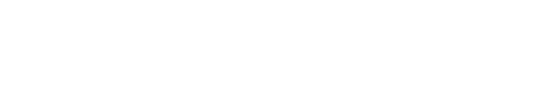 wedze logo blanc