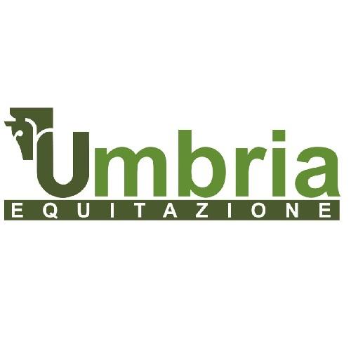 Gel Arnica per Cavalli UMBRIA EQUITAZIONE