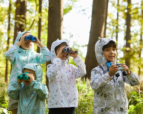 Photo d'enfants en forêt