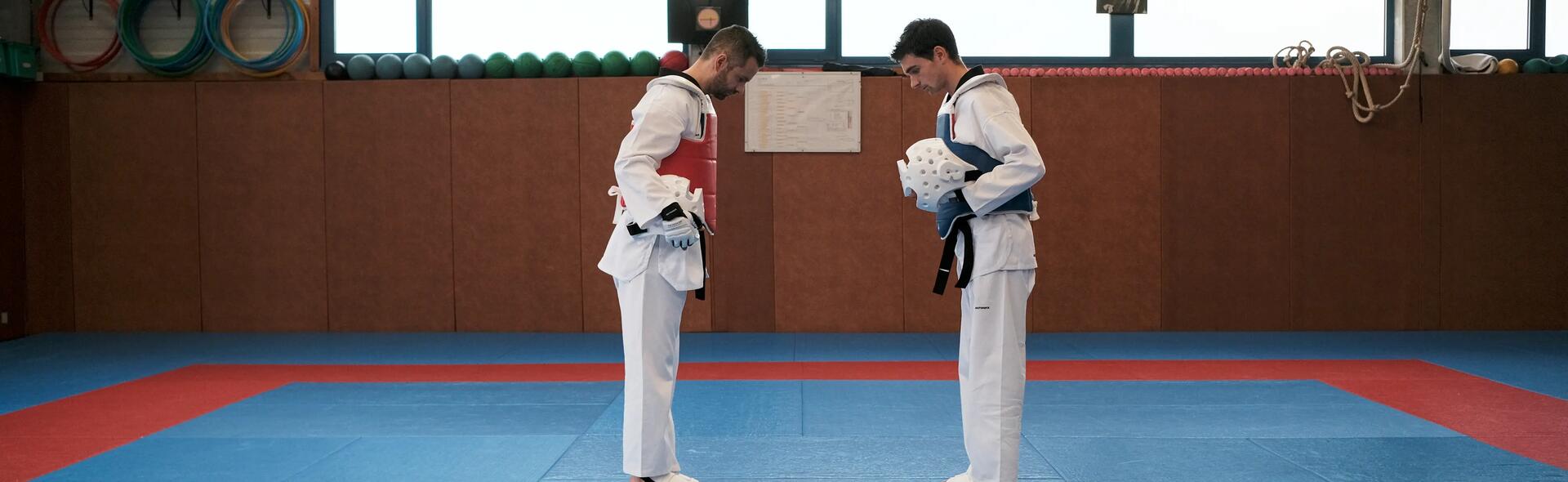 Conselhos Taekwondo