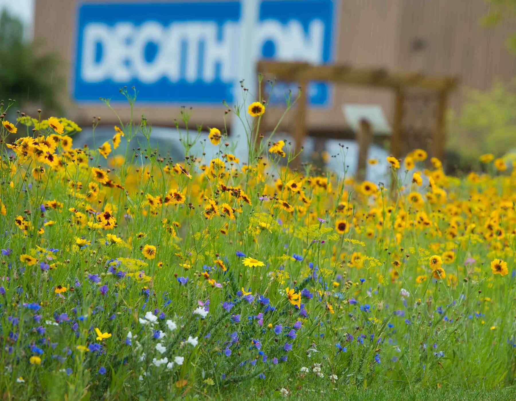 Le date importanti di DECATHLON