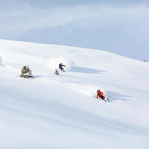 Ski für fortgeschrittene Freeride-Skifahrer