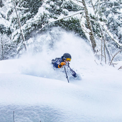 sci freeride confirmé slash