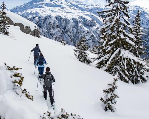 La sécurité en ski de randonnée