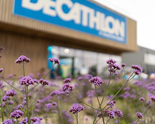 Loja Decathlon ao fundo de umas flores