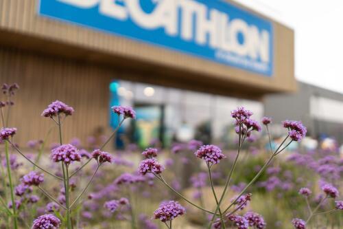 The production and manufacturing of Decathlon products