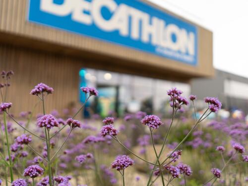 Picture of flowers in front of a Decathlon store