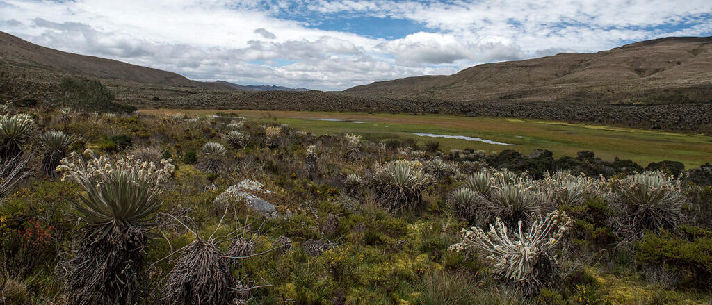 Sumapaz un paraíso a unas horas de la ciudad, Ven a conocerlo