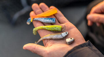 Pêche des carnassiers