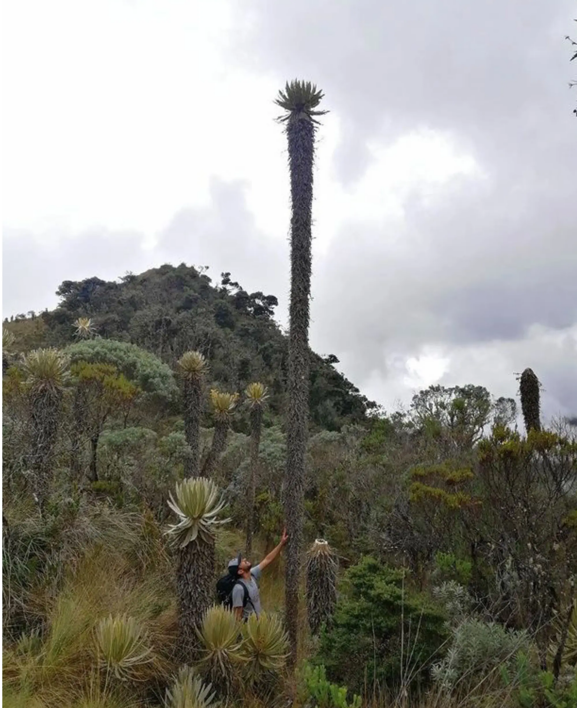 Trekking Día 1<br>