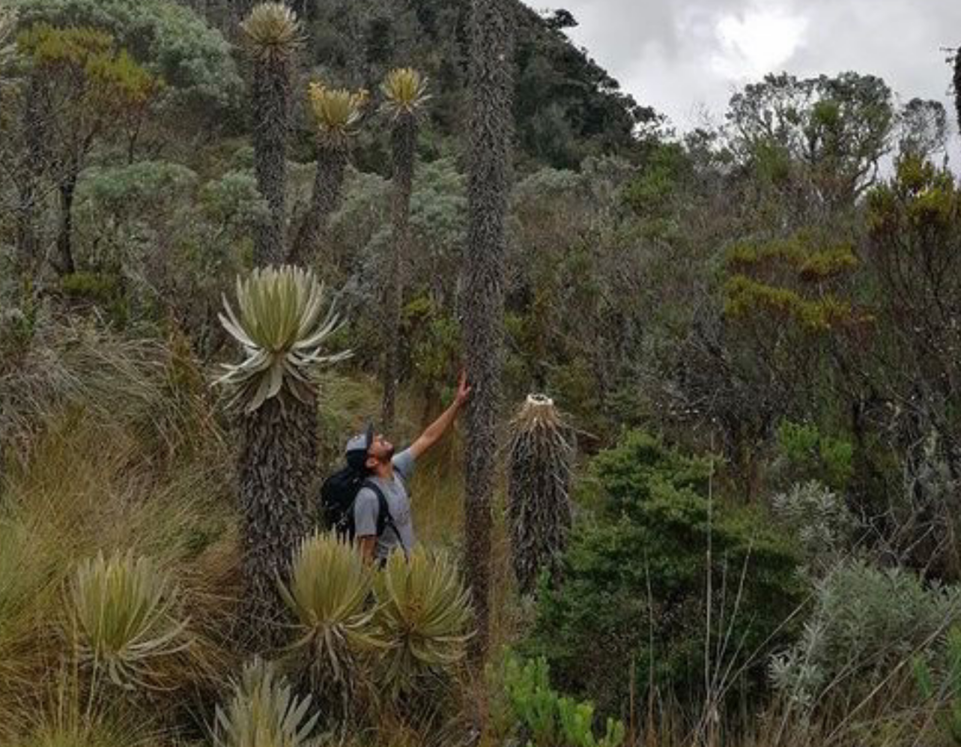  ¿Cómo lograr el Trekking a la Cumbre Nevado del Tolima? 