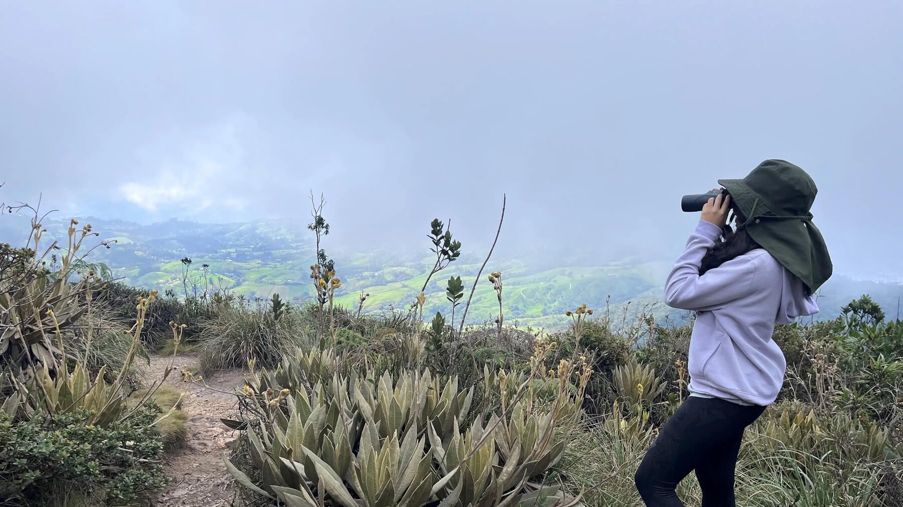 Conozcamos los páramos de Antioquia