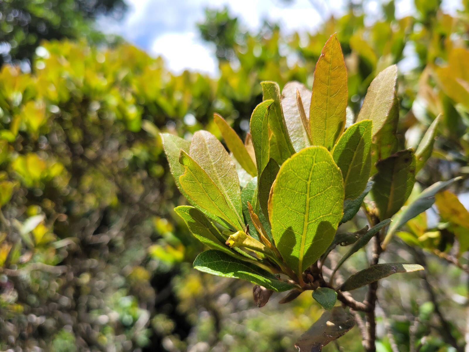 Viajar al páramo de Belmira