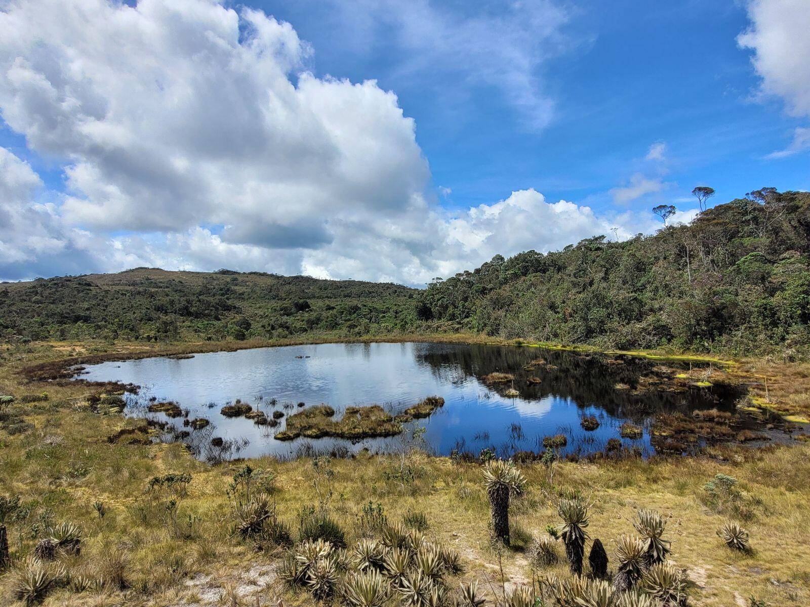 Viajar al páramo de Belmira
