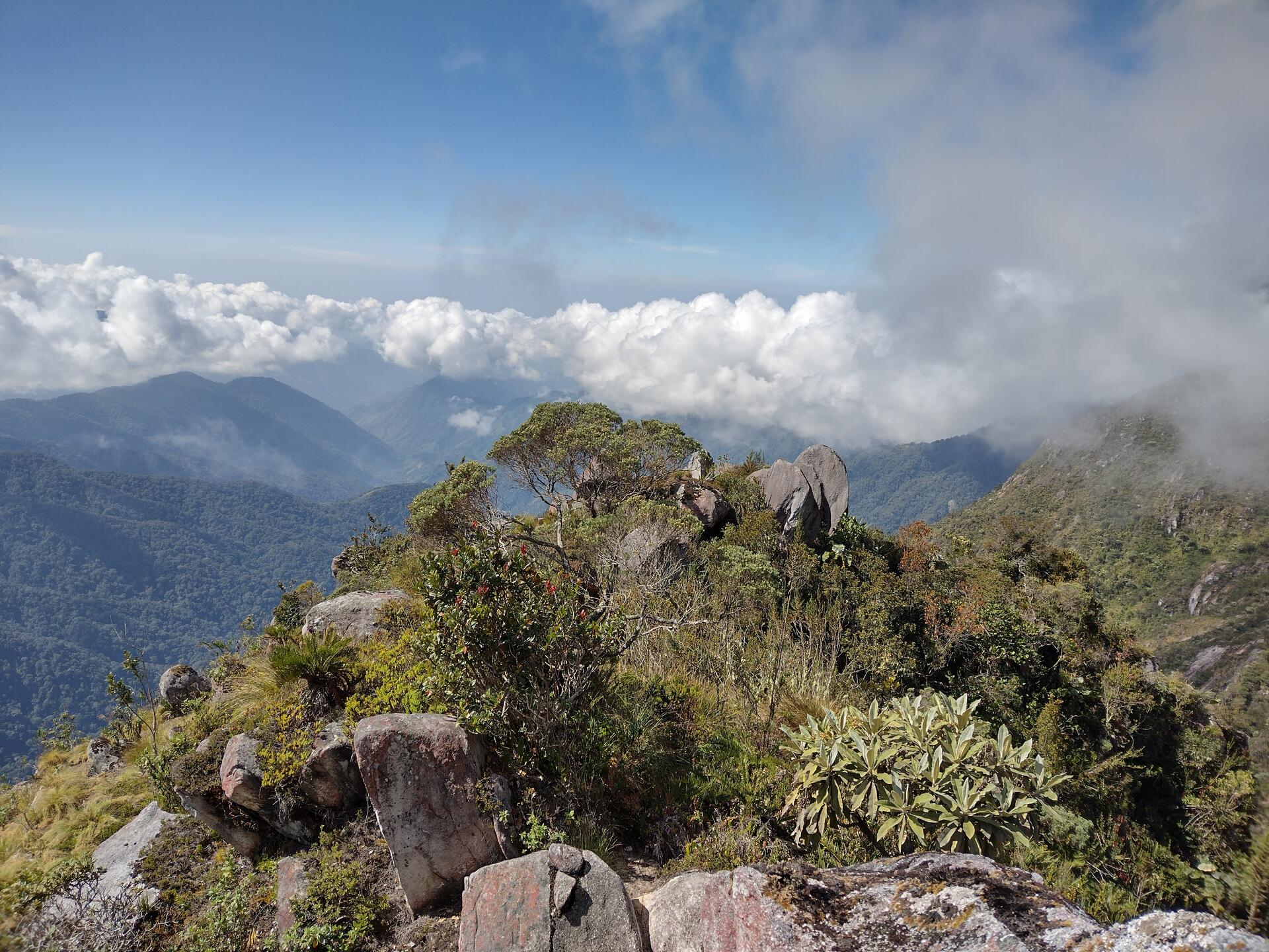 Consejos para lograr la cumbre en la montaña costera más grande