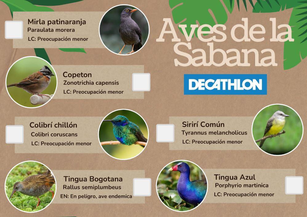 ¡Conoce la flora y fauna de la sabana de Bogotá!