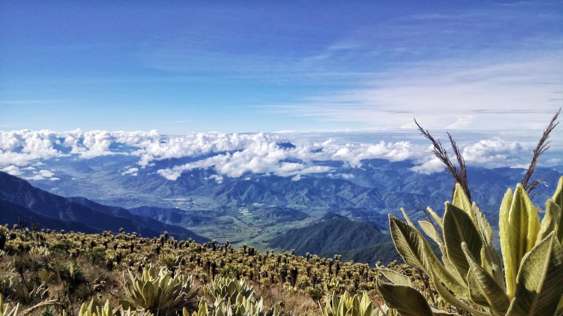 El páramo del sol: la montaña más alta de Antioquia 