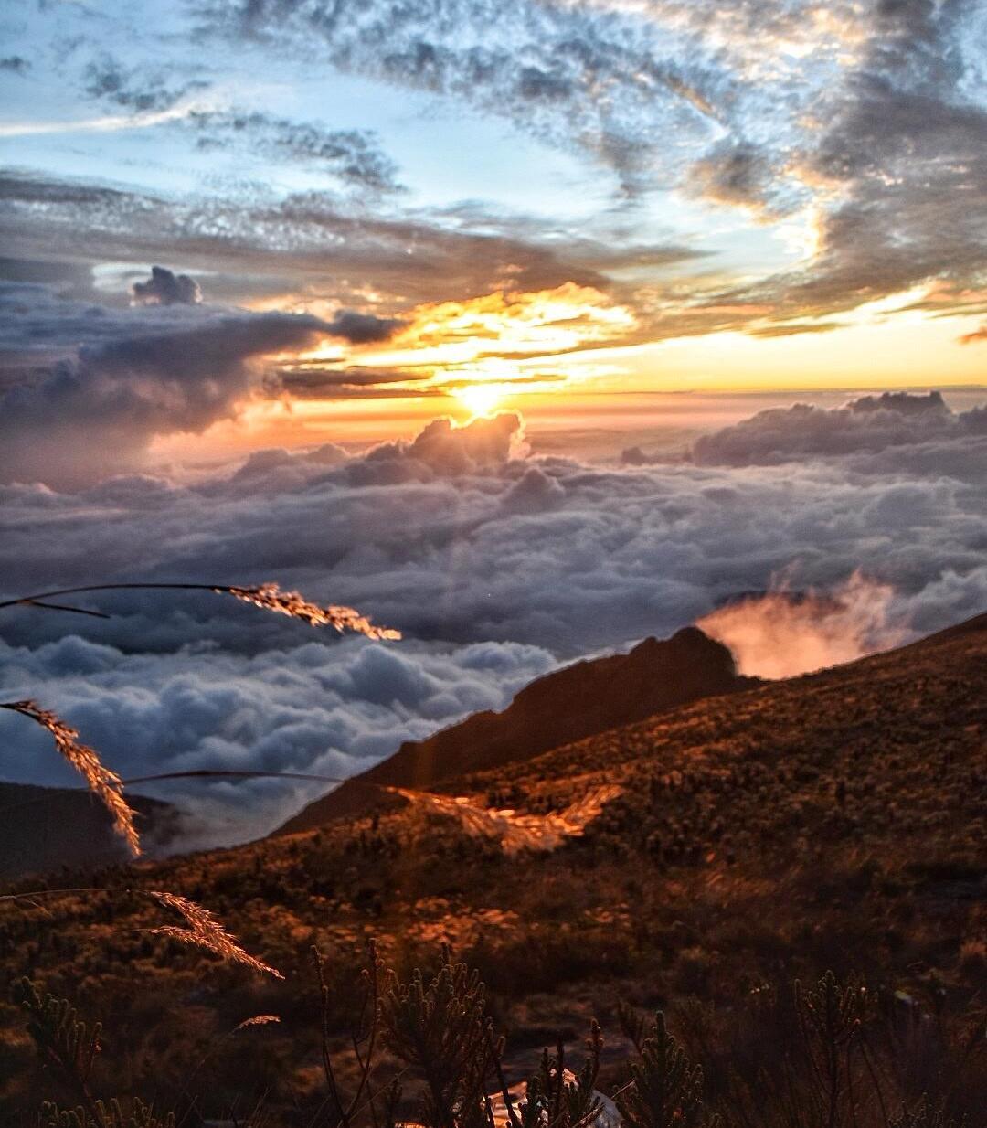 El páramo del sol: la montaña más alta de Antioquia 