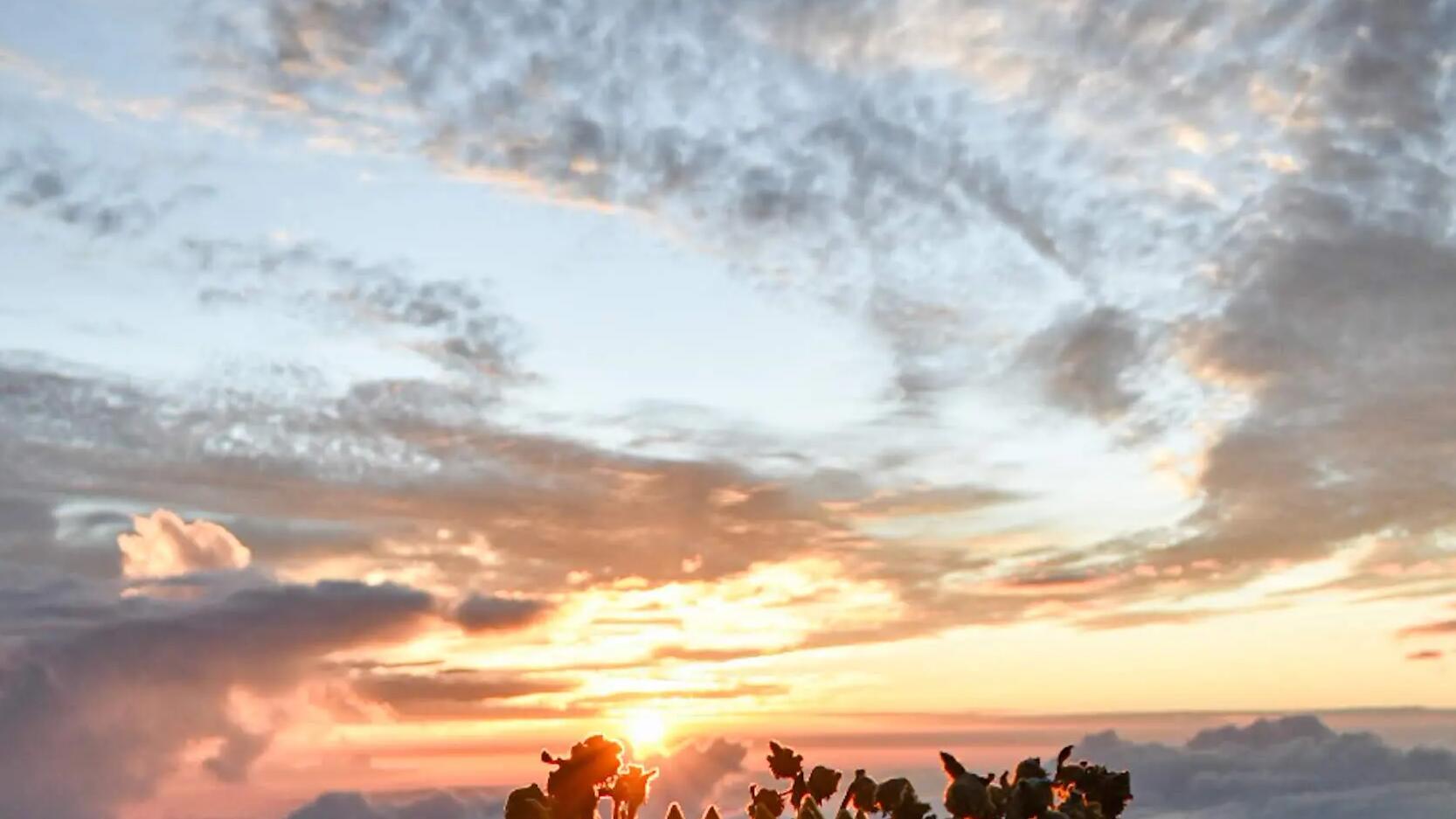 El páramo del sol: la montaña más alta de Antioquia 