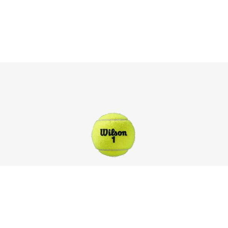 Piłki tenisowe Wilson Roland Garros Clay CT (4 szt.)