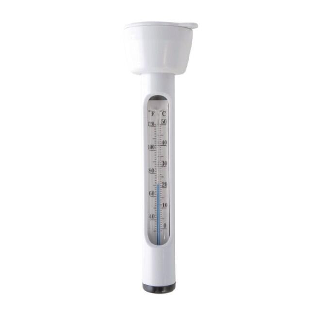 Intex 29039 - Termometro da Piscina Galleggiante 2/4