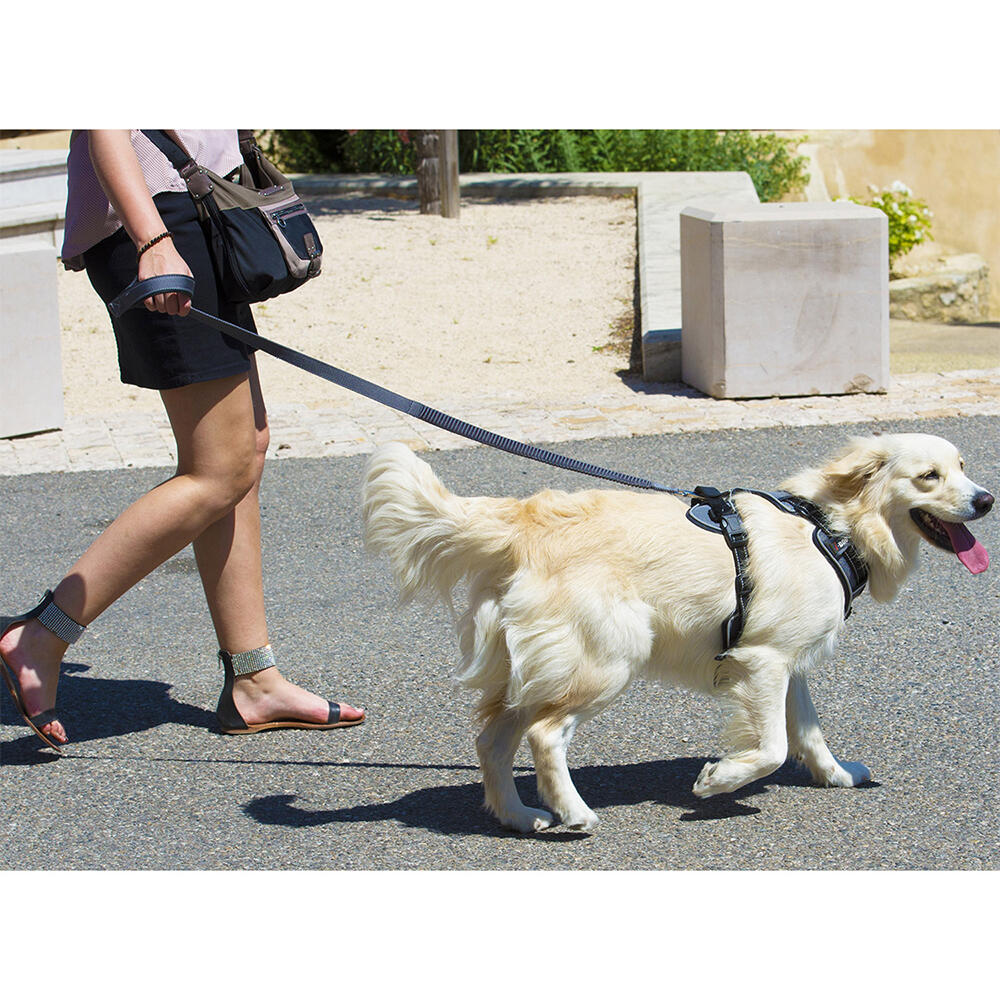 Canicross leash I-DOG Style Upka 3/7