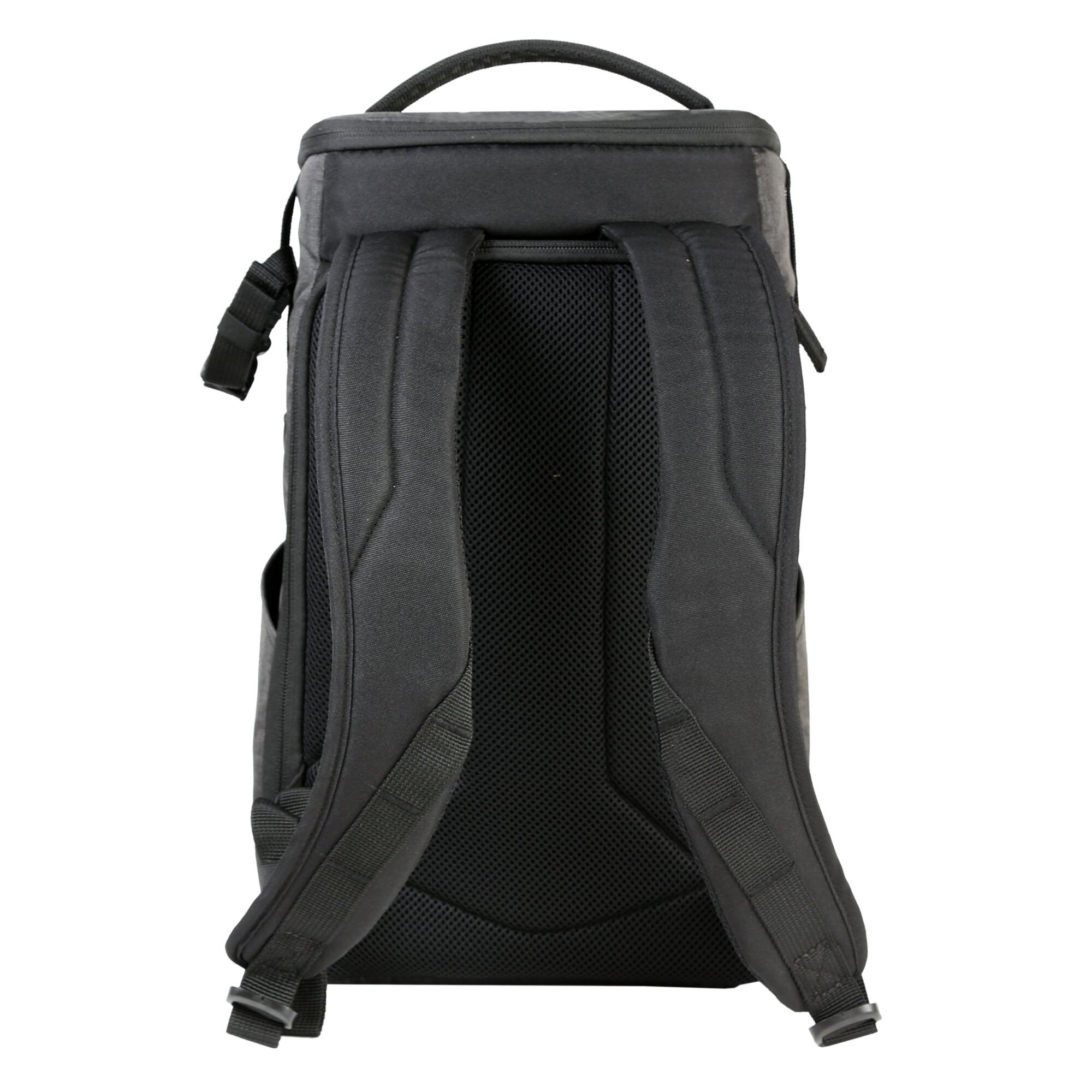 Mochila fotográfica cámara Vangaurd Vesta Aspire 41GY 4/6