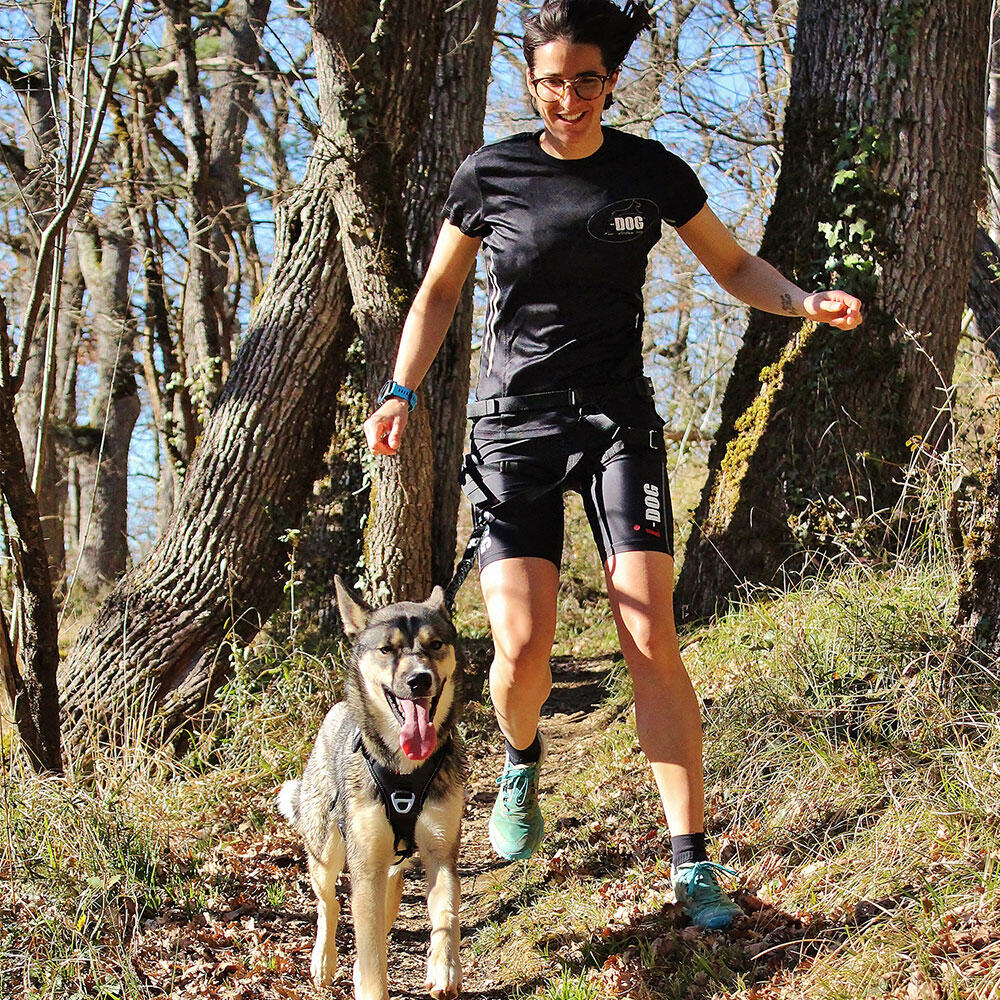 Longe laisse  RAIDLIGHT pour courir avec son chien canicross,randonnée, trail 3/7