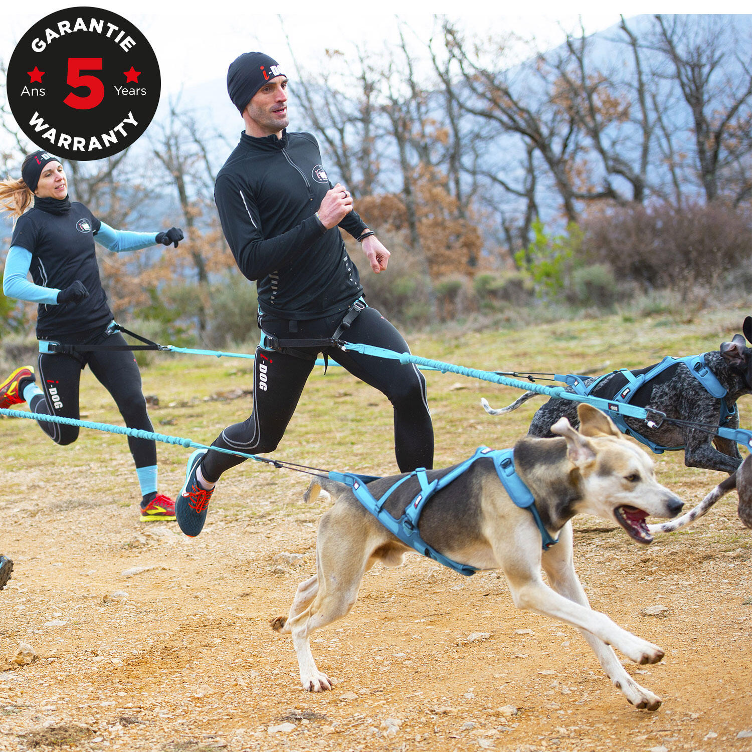 PHOENIX ALM I-DOG canicross and caniVTT harness Decathlon