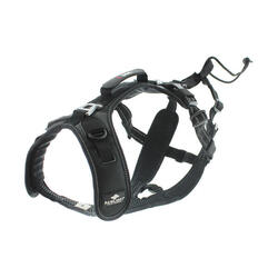 Harnais RAIDLIGHT pour courir avec son chien, canicross,randonnée,trail,balade