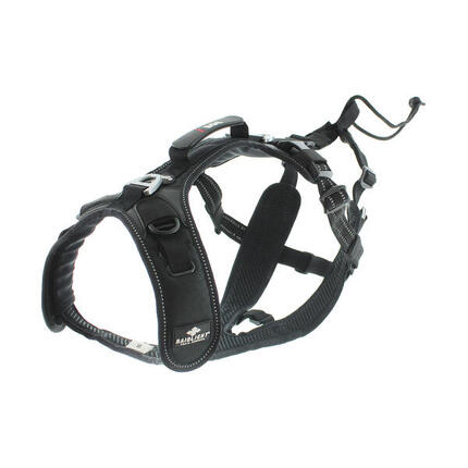 Harnais RAIDLIGHT pour courir avec son chien, canicross,randonnée,trail,balade