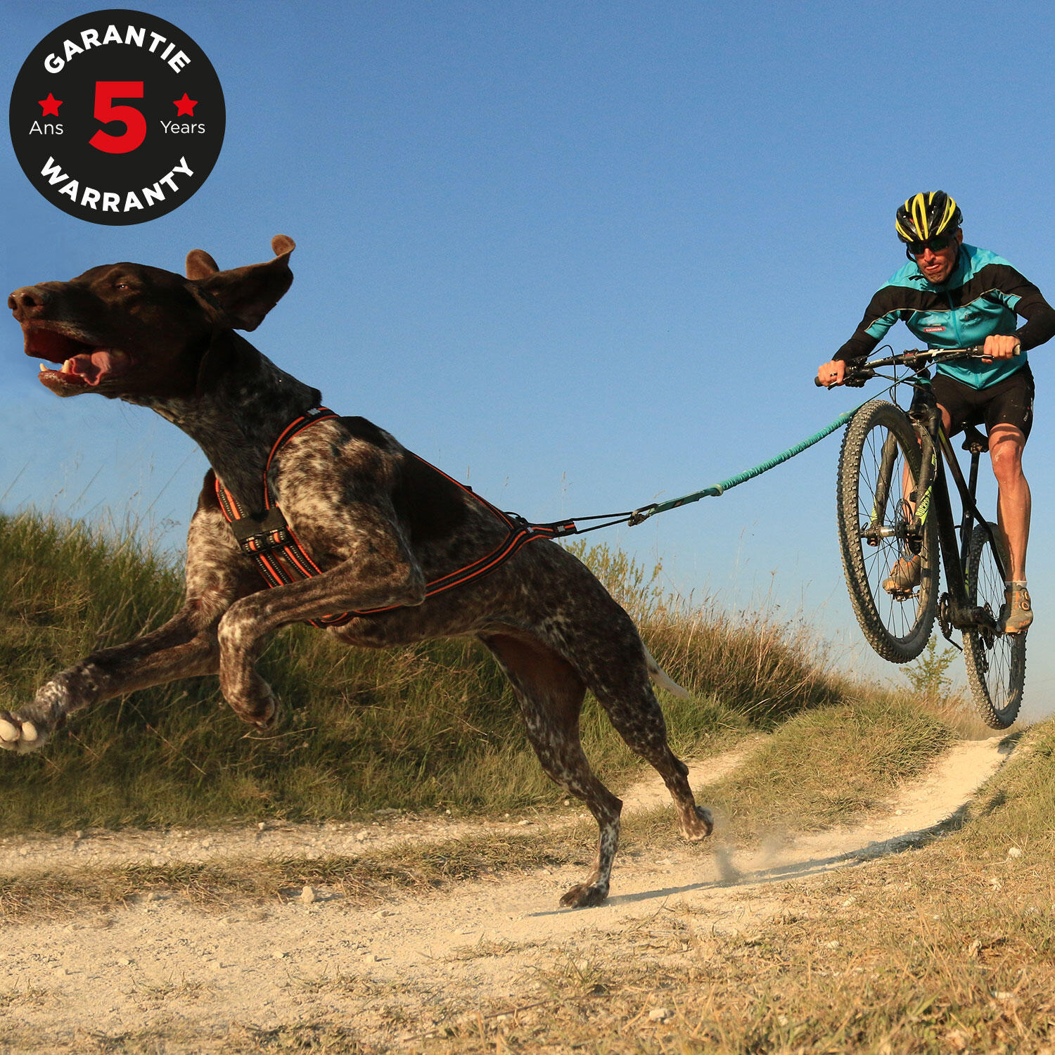 Harnais ONE X-BACK réglable pour courir avec son chien canicross, sport/loisirs 2/7