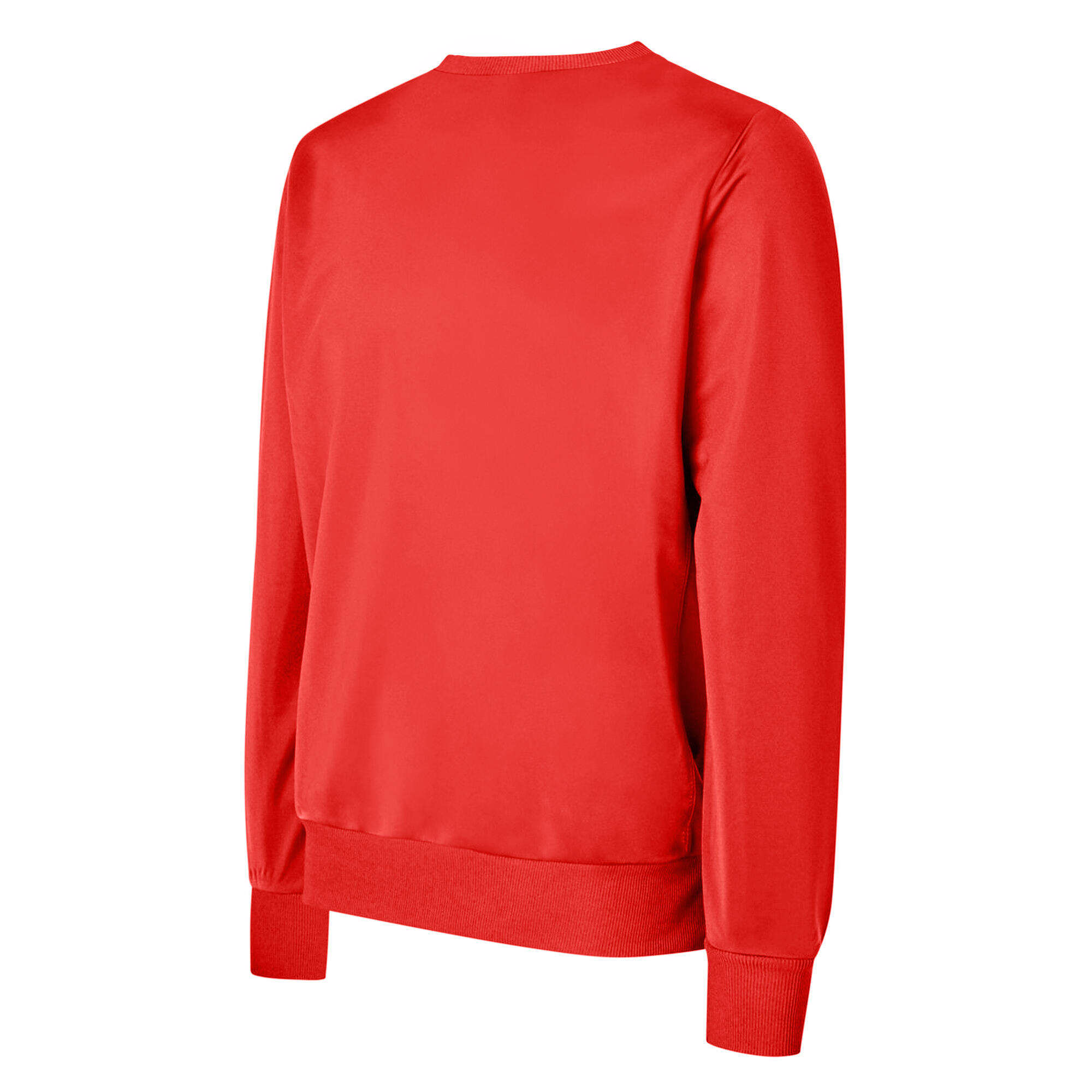 Childrens/Kids Polyester Sweatshirt (Vermillion) 2/3