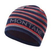 Unisex Signature Knit Beanie - Stripe Antarctic