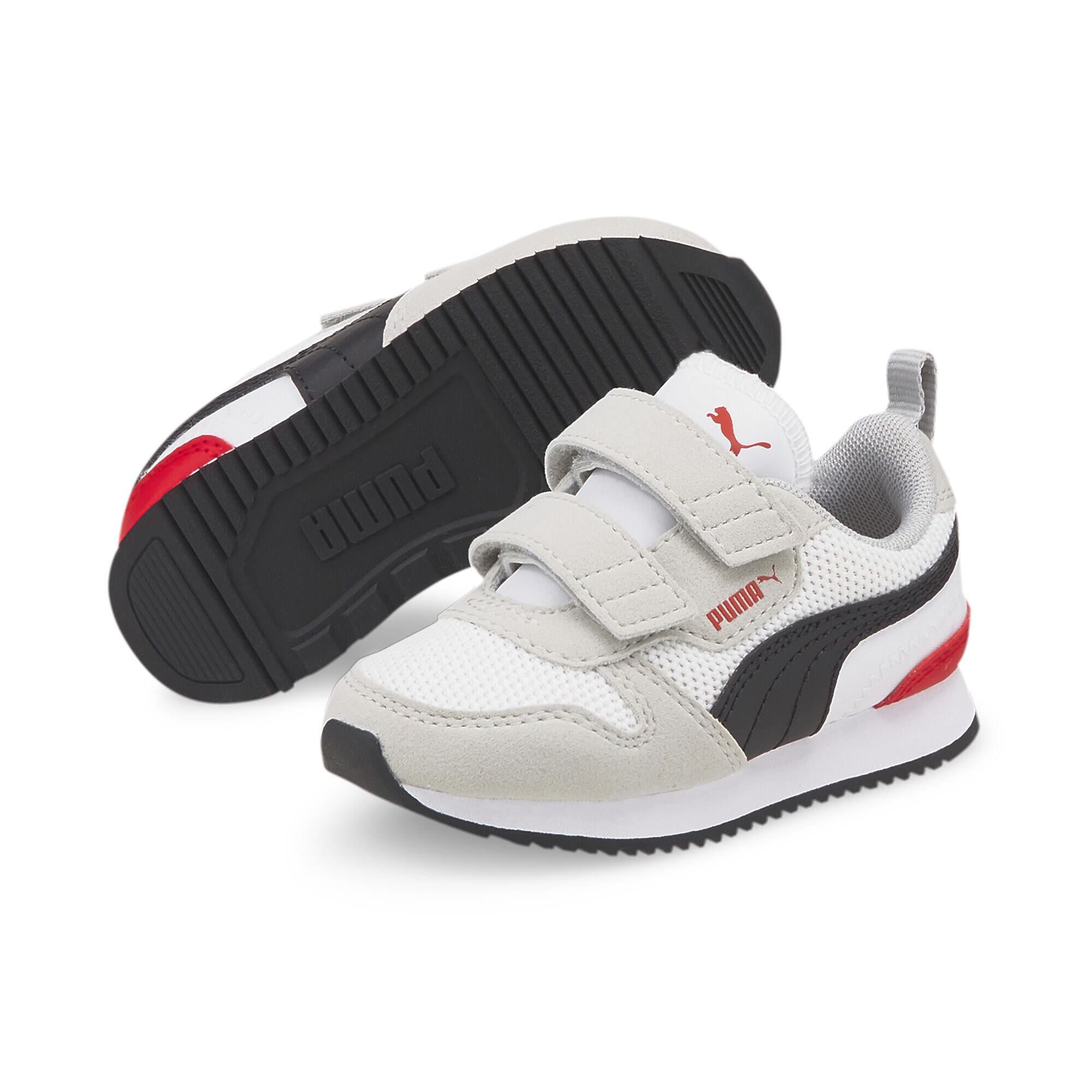 PUMA picture