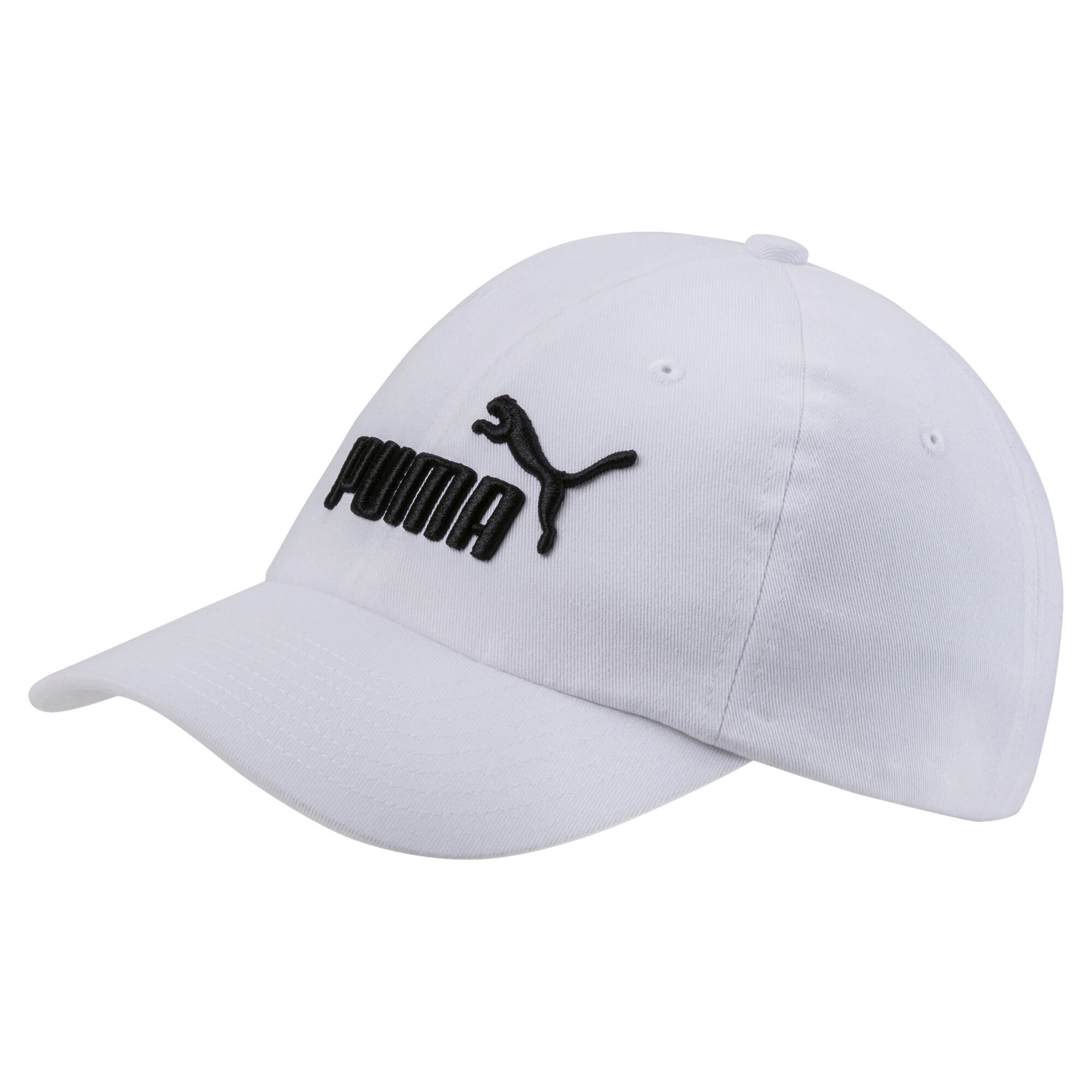PUMA picture