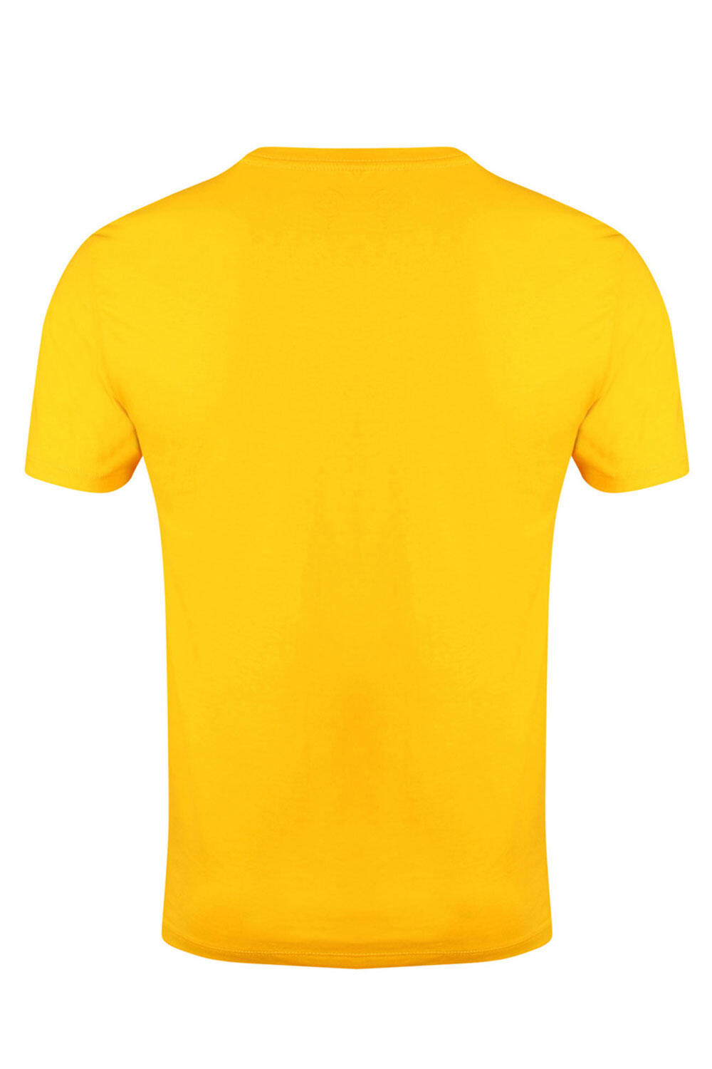 Men's Gold's Gym Muscle Joe Print T-Shirt 3/4