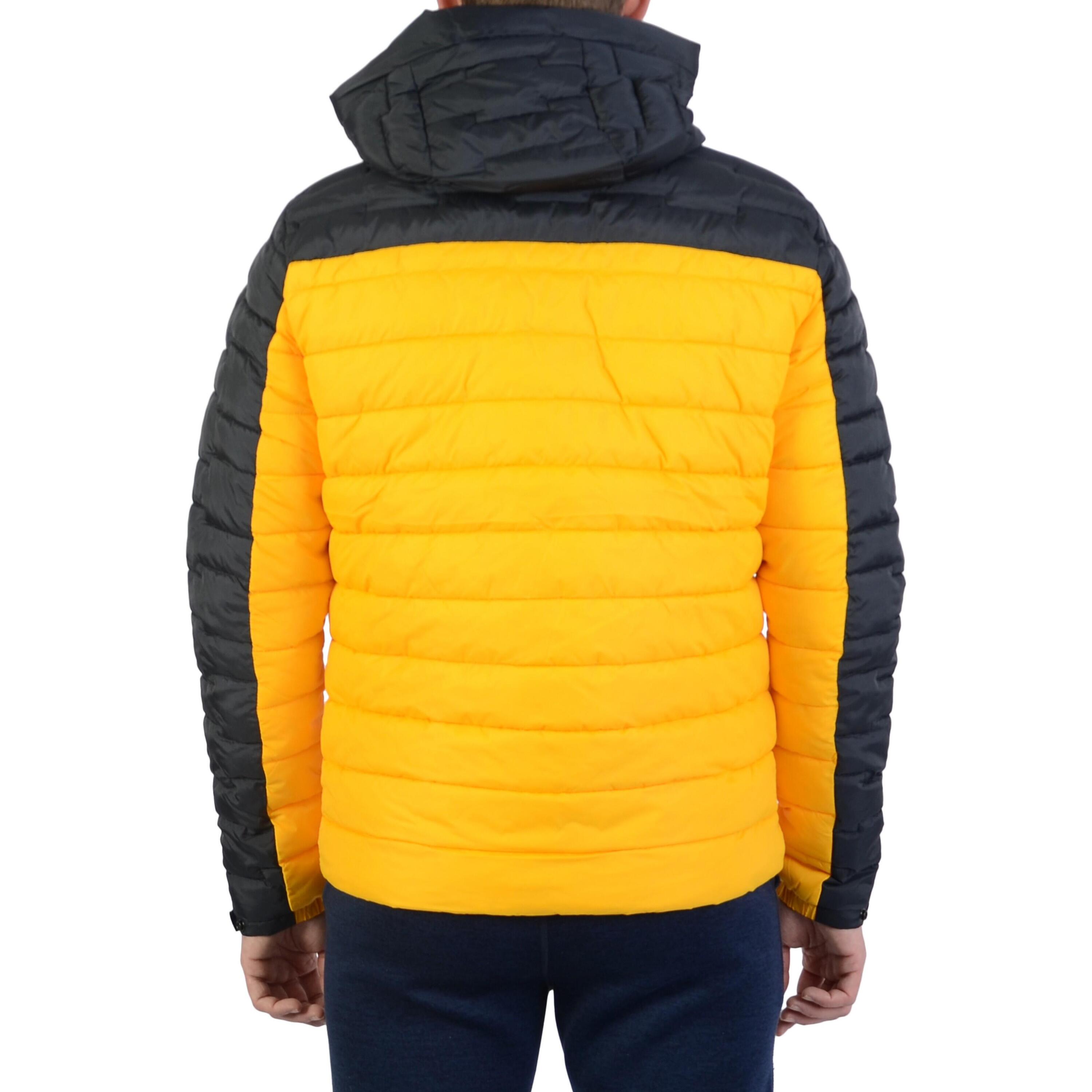 Doudoune à Capuche Superdry XPD Radar Quilt - Homme 3/3