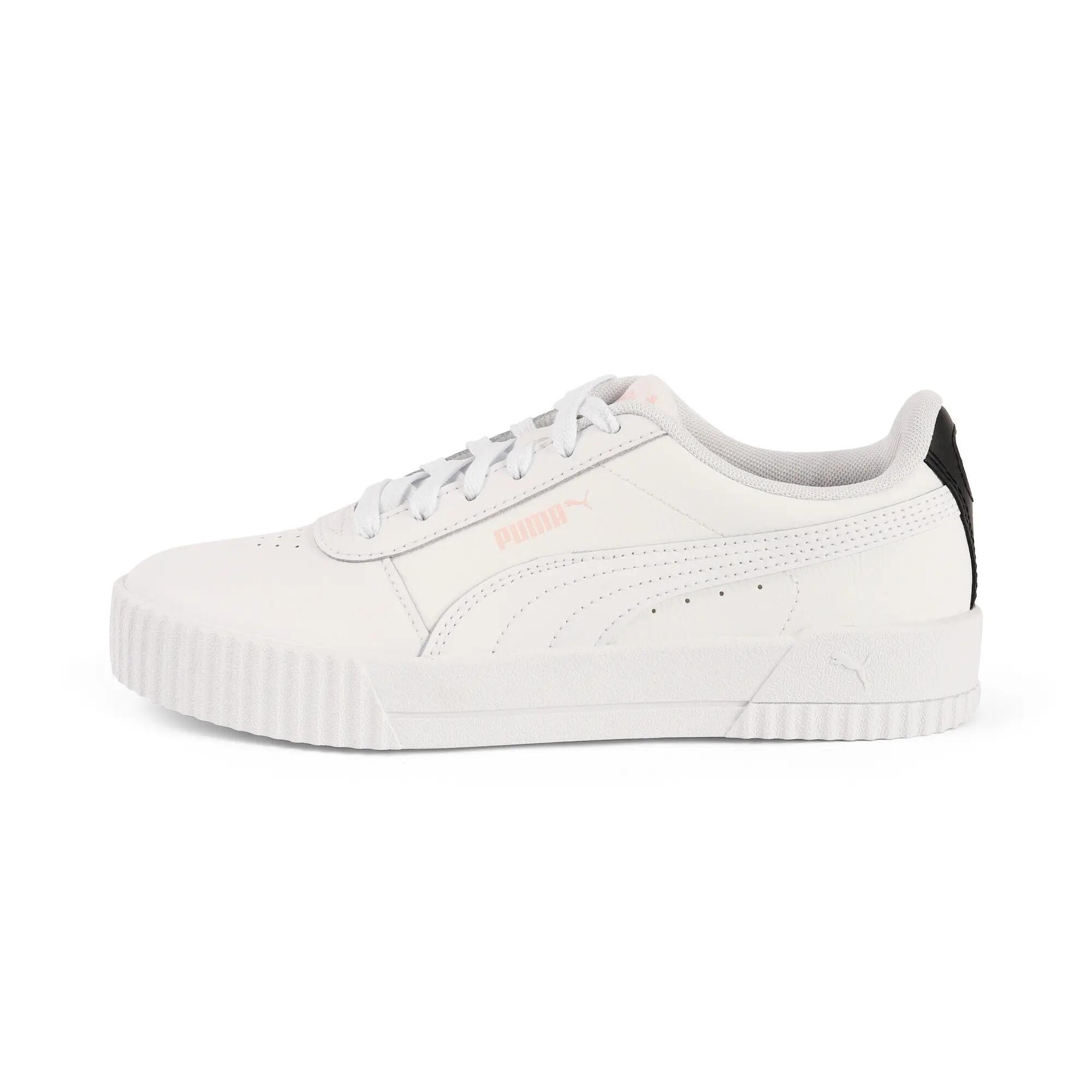 PUMA picture
