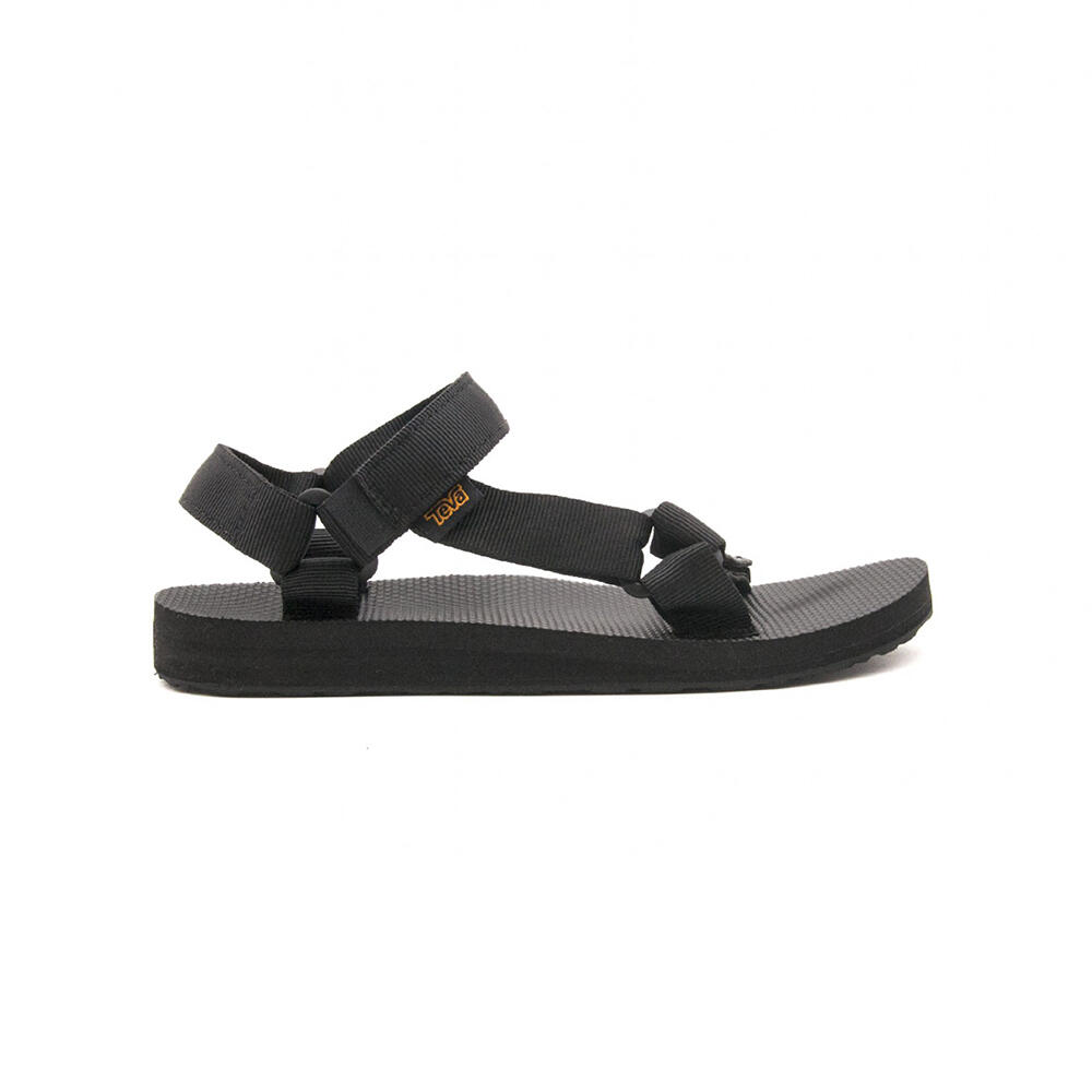 TEVA picture