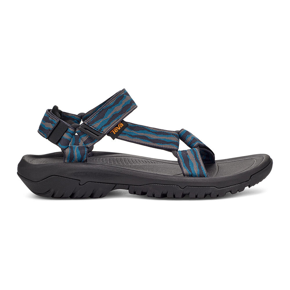 TEVA picture
