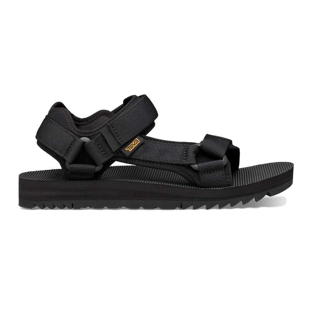 TEVA picture