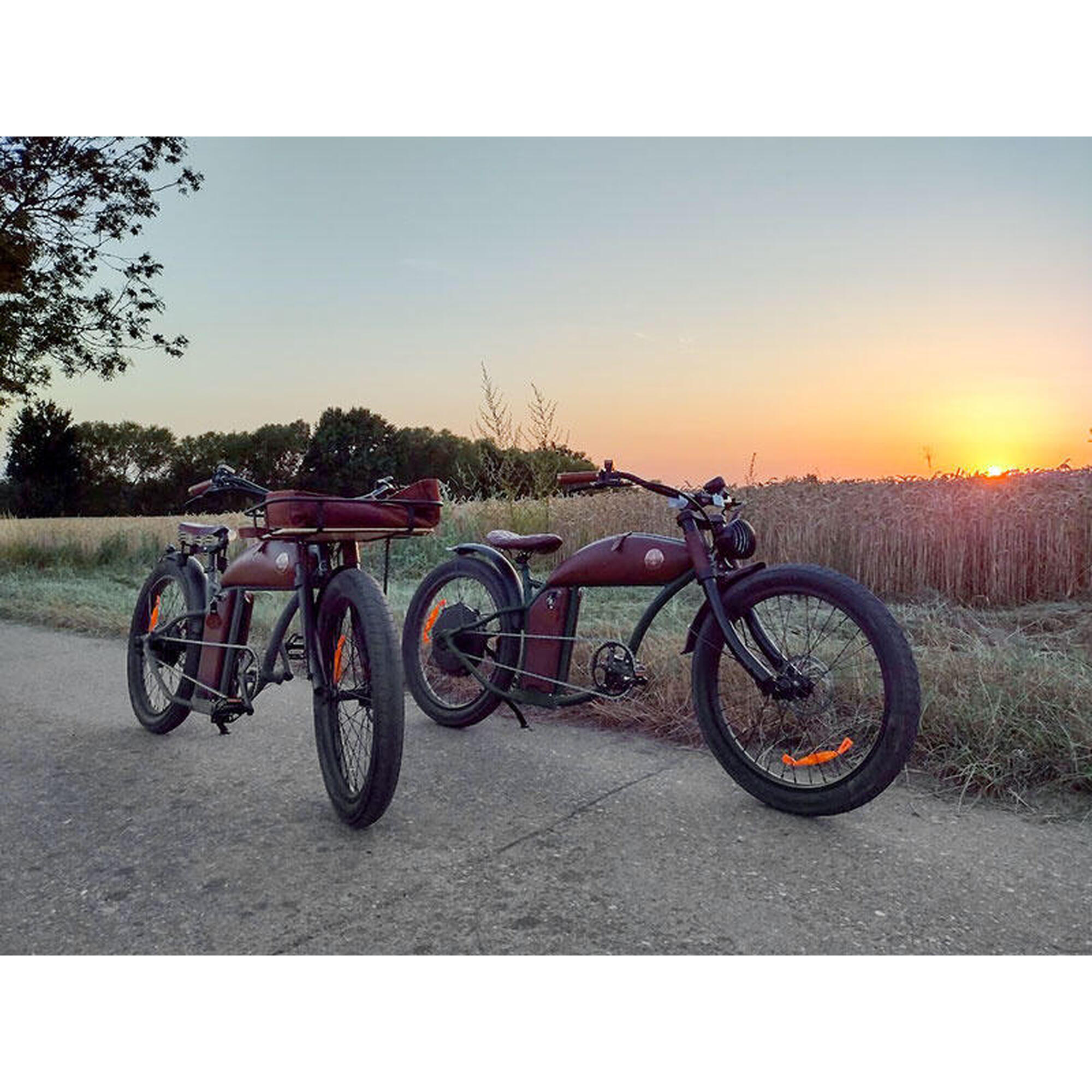 Dagtocht op een e-bike met ontbijt in Haspengouw