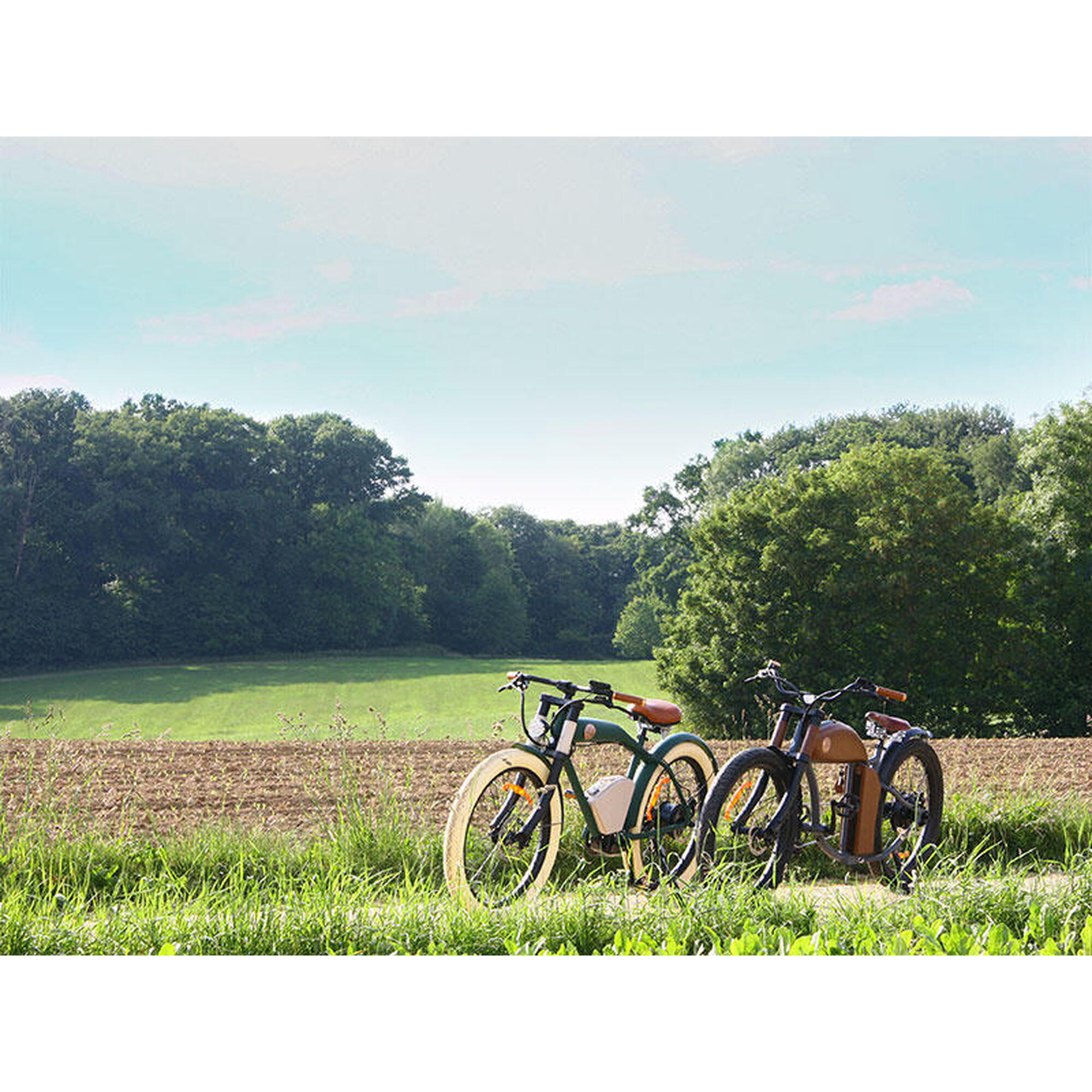 Dagtocht op een e-bike met ontbijt in Haspengouw