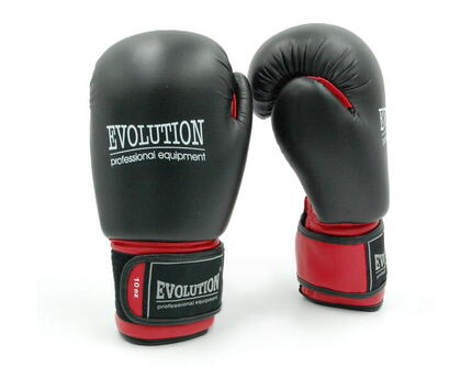 Rękawice bokserskie Evolution Professional Equipment Standard