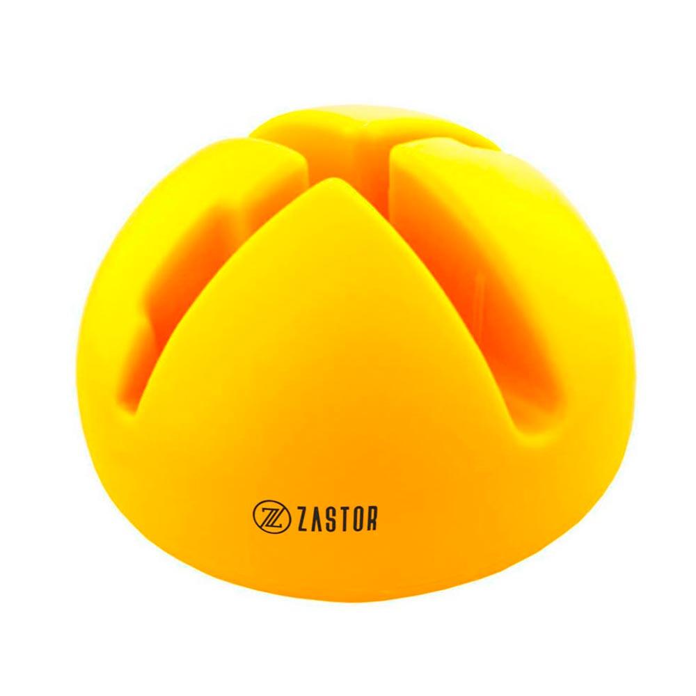 ZASTOR picture