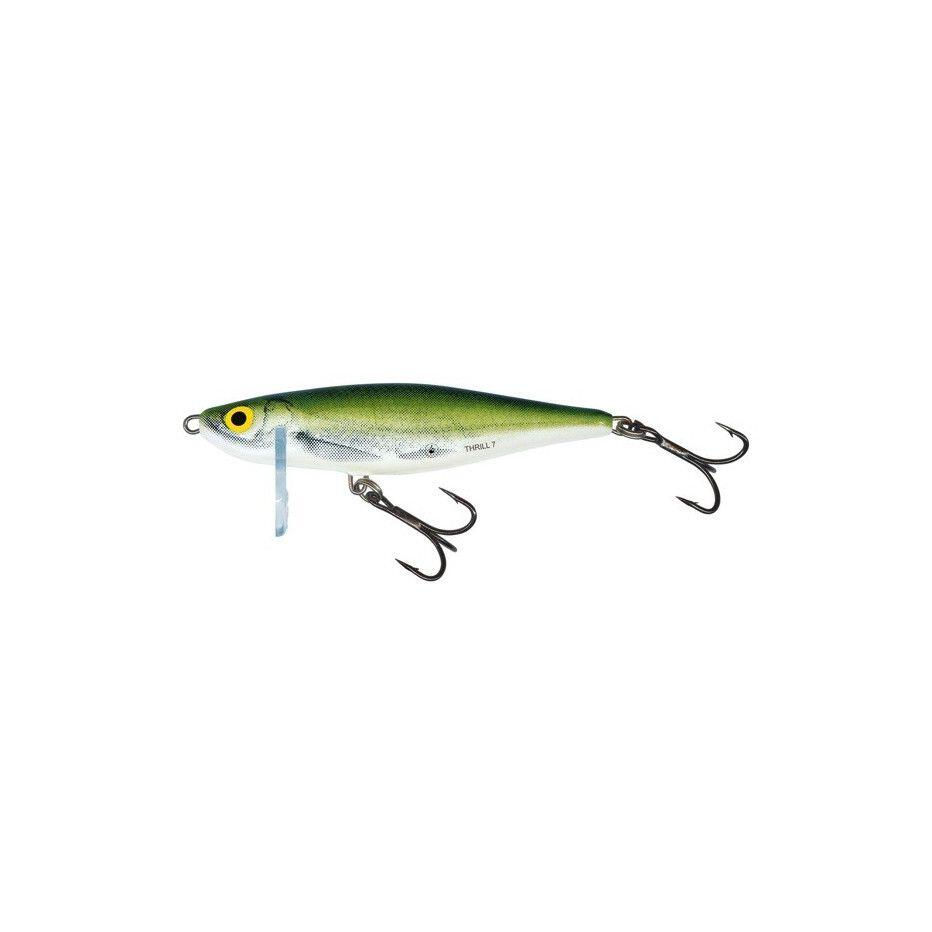 SALMO picture